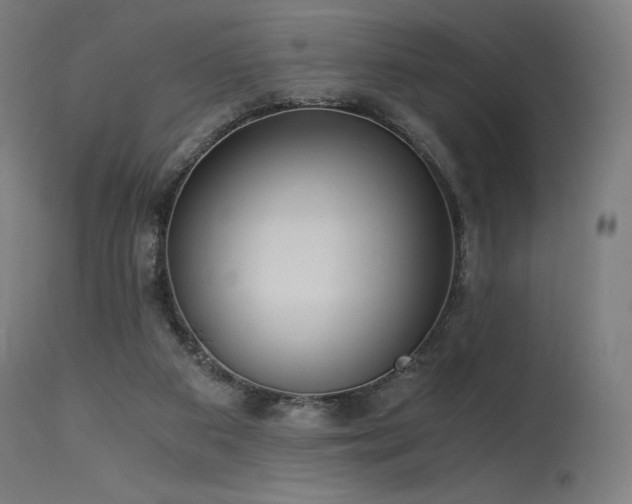 X0000115640113200911101525