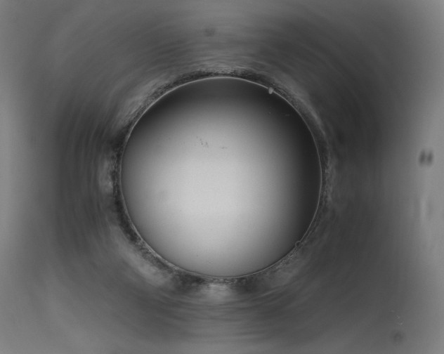 X0000115640114200911101525