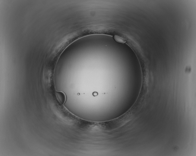 X0000115640115200911101525
