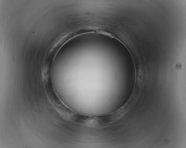 X0000115640116200911101525