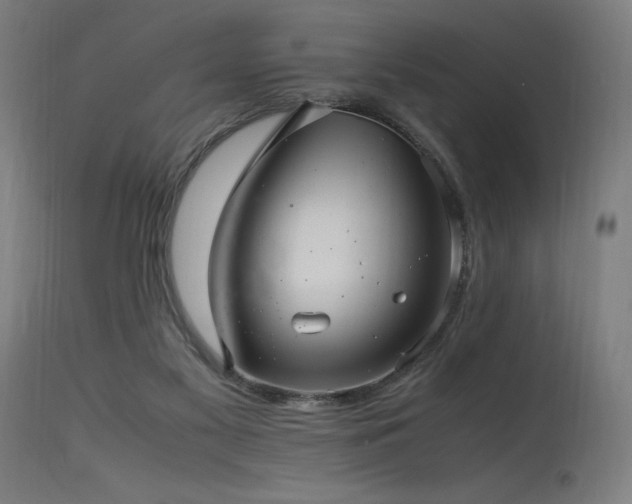 X0000115640117200911101525