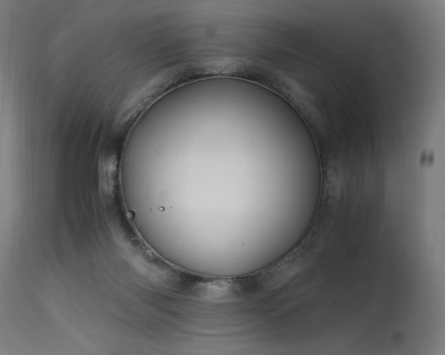 X0000115640118200911101525