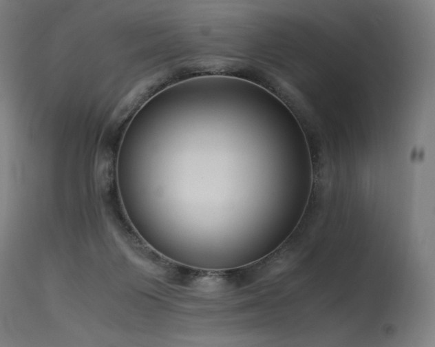 X0000115640119200911101525