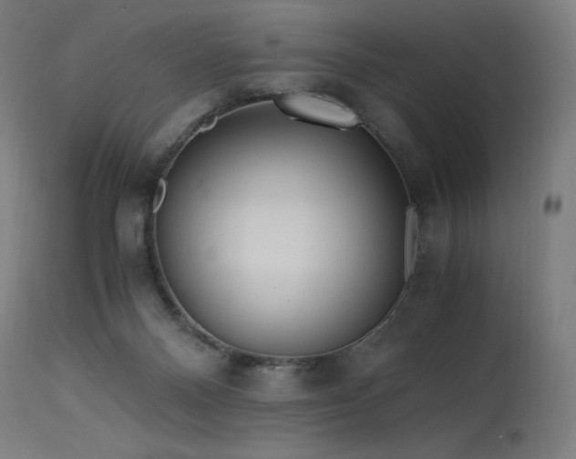 X0000115640120200911101525