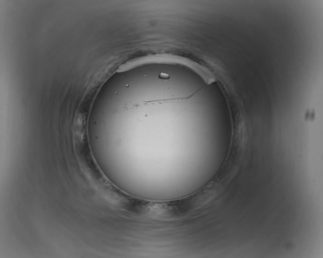 X0000115640121200911101525