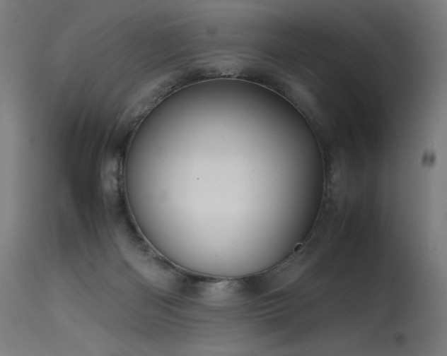 X0000115640122200911101525