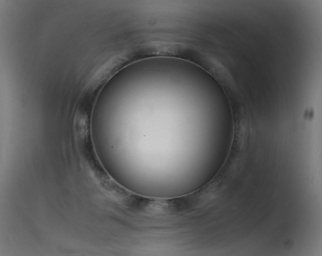 X0000115640123200911101525