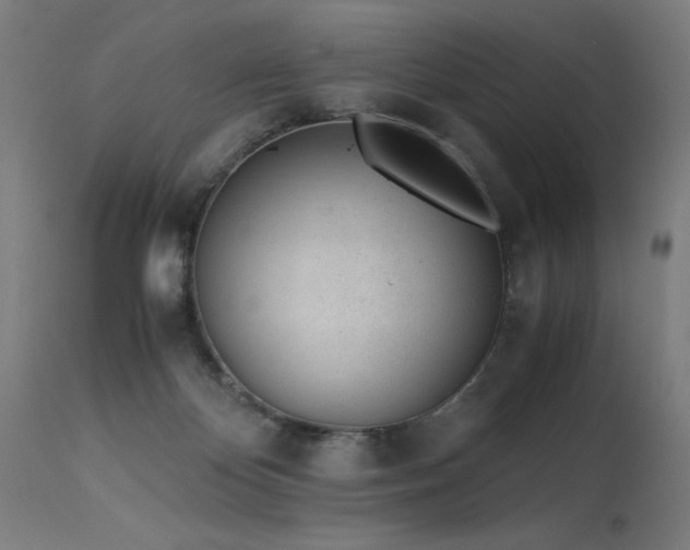 X0000115640124200911101525