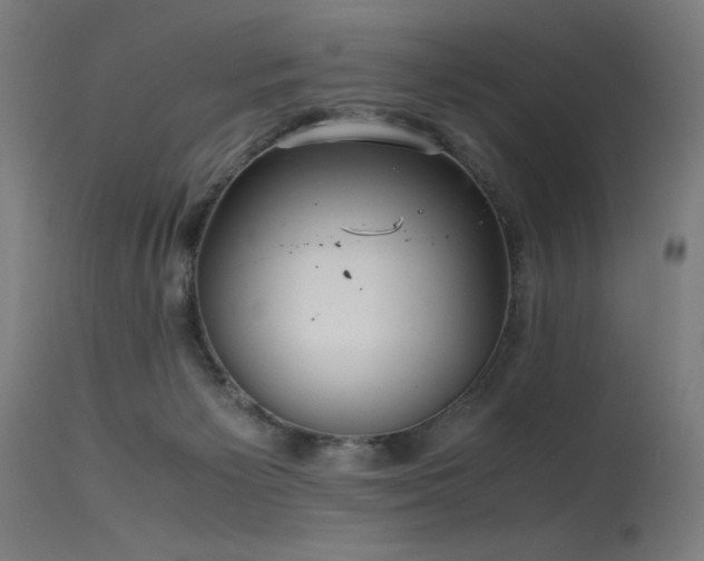 X0000115640125200911101525