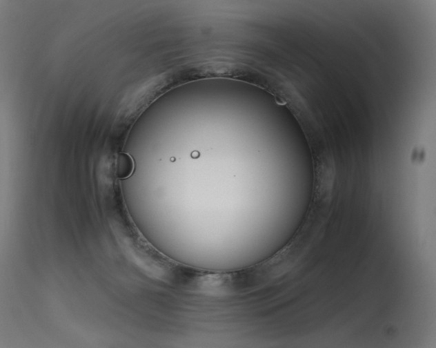 X0000115640126200911101525