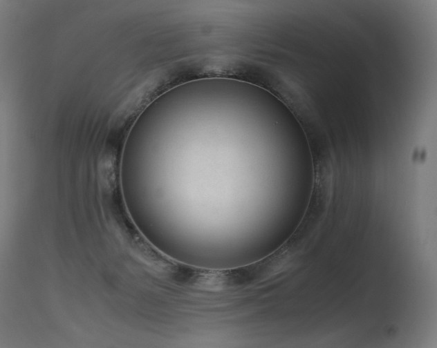 X0000115640127200911101525