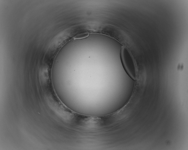 X0000115640128200911101525