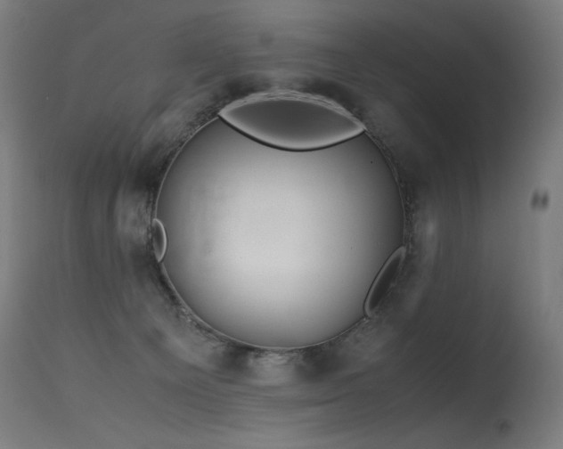 X0000115640129200911101525