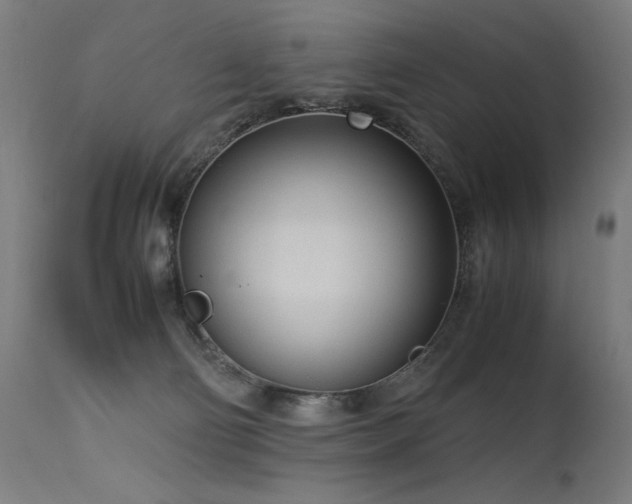 X0000115640130200911101525