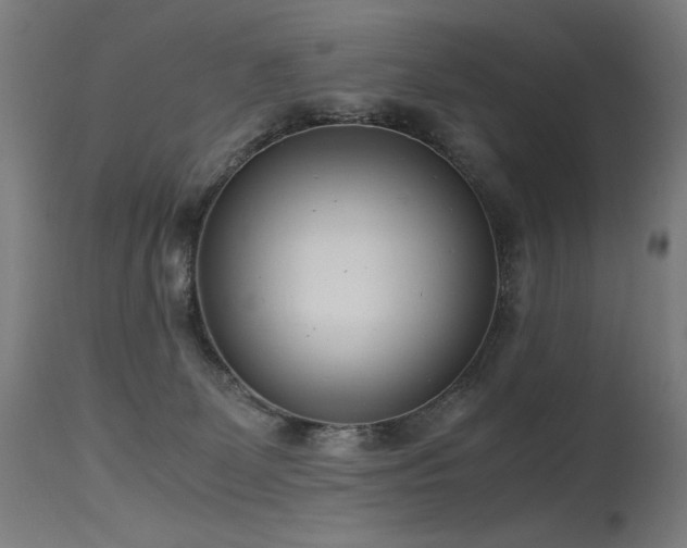 X0000115640131200911101525
