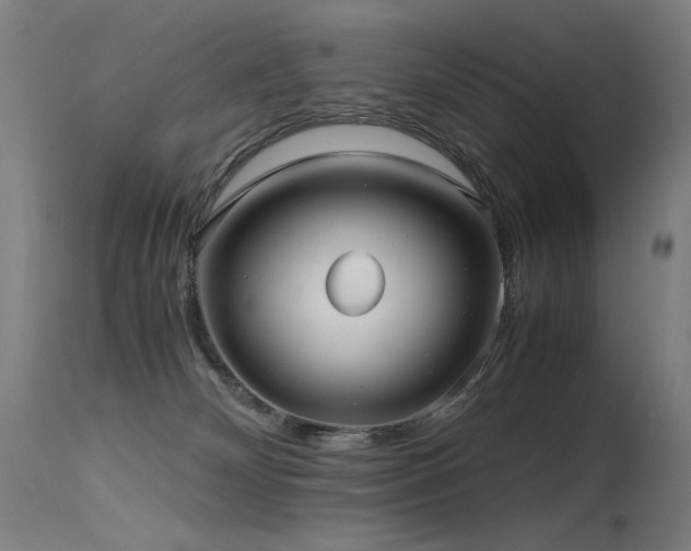 X0000115640132200911101525