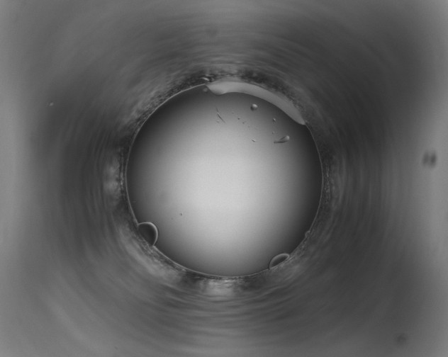 X0000115640134200911101525