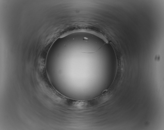 X0000115640135200911101525