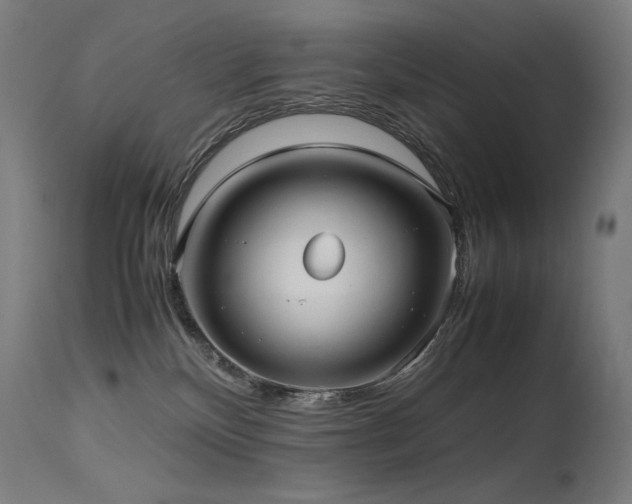 X0000115640136200911101525