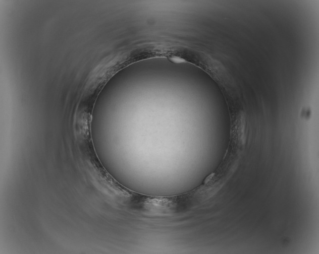X0000115640137200911101525