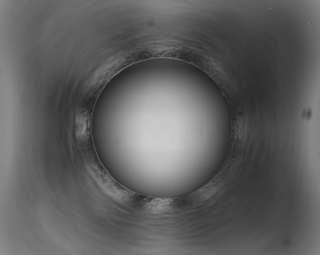 X0000115640138200911101525
