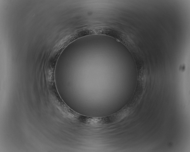 X0000115640139200911101525