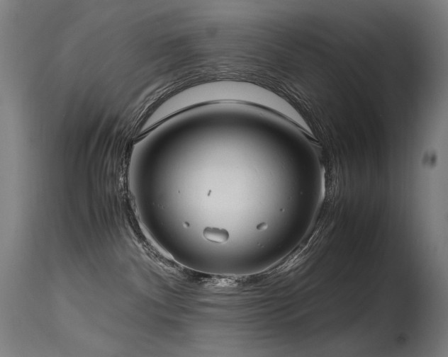 X0000115640140200911101525