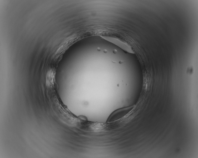 X0000115640142200911101525