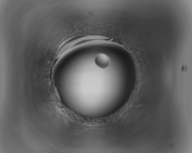 X0000115640144200911101525