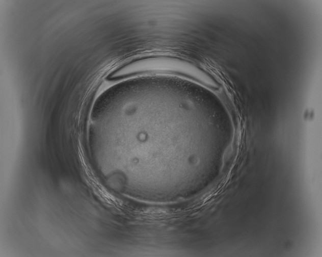 X0000115640145200911101524