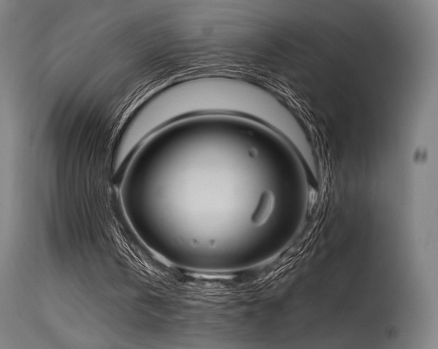 X0000115640146200911101524