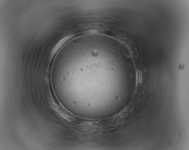 X0000115640147200911101524