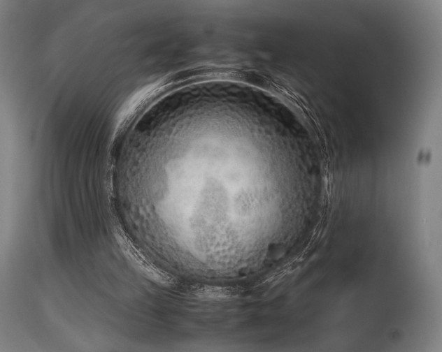X0000115640149200911101524