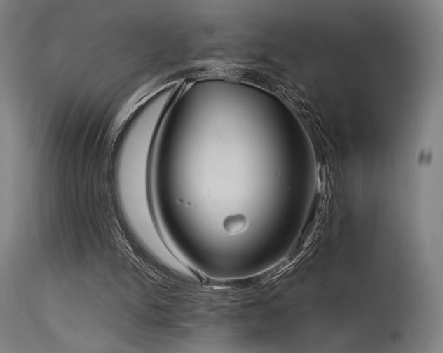 X0000115640150200911101524