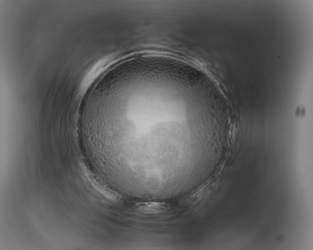 X0000115640151200911101524