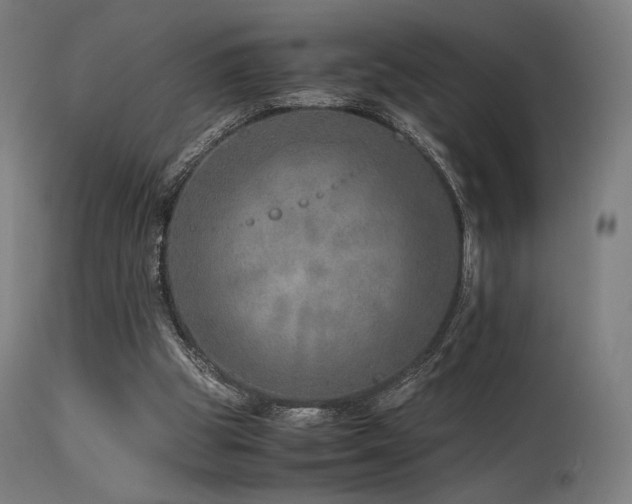 X0000115640153200911101524