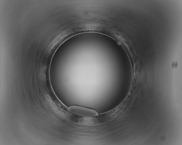 X0000115640154200911101524