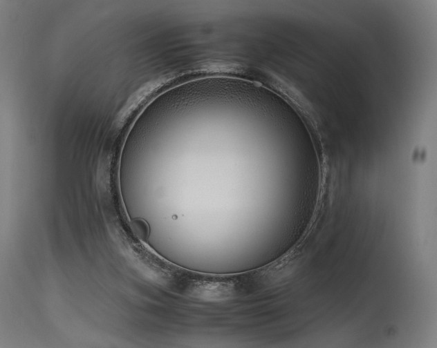 X0000115640155200911101524