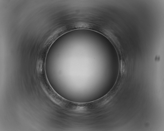X0000115640157200911101524