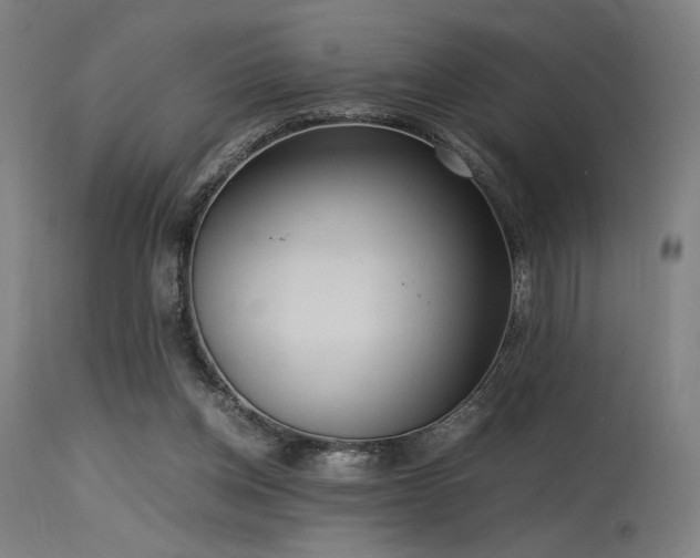 X0000115640158200911101524