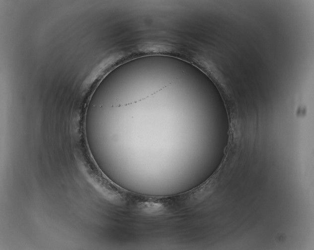 X0000115640159200911101524