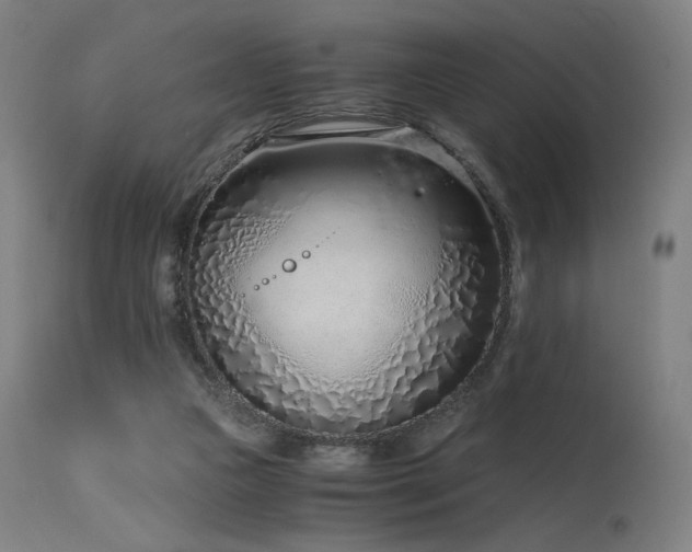 X0000115640161200911101524