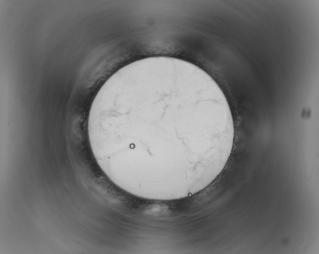 X0000115640162200911101524