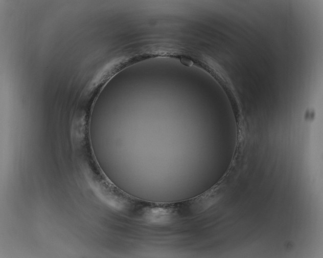 X0000115640163200911101524