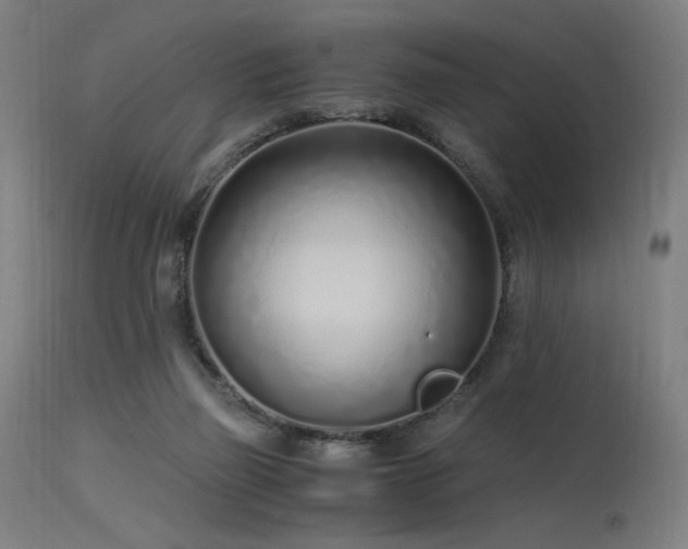 X0000115640165200911101524