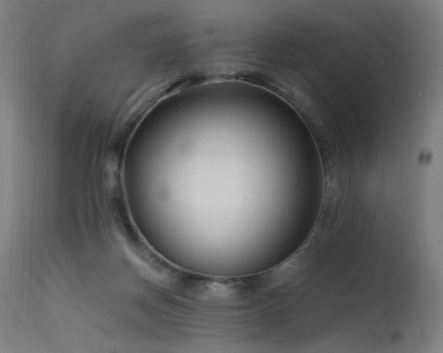 X0000115640166200911101524