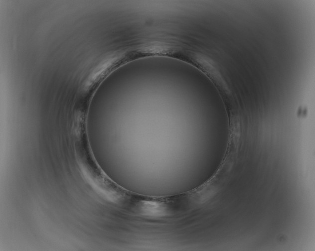X0000115640167200911101524