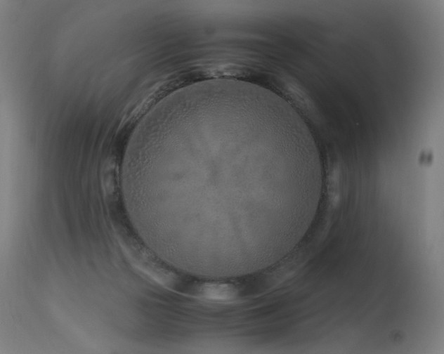 X0000115640169200911101524