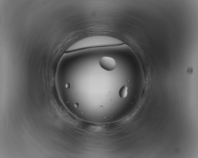 X0000115640170200911101524