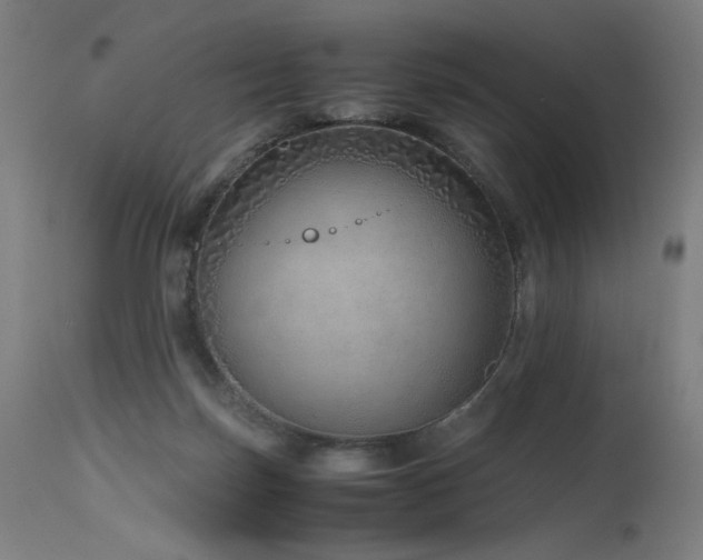 X0000115640171200911101524